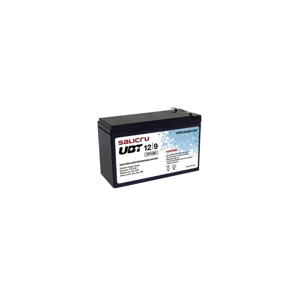 marque generique - Batterie pour SAI Salicru UBT 013BS-02 12/9 9 Ah 12V - Onduleur