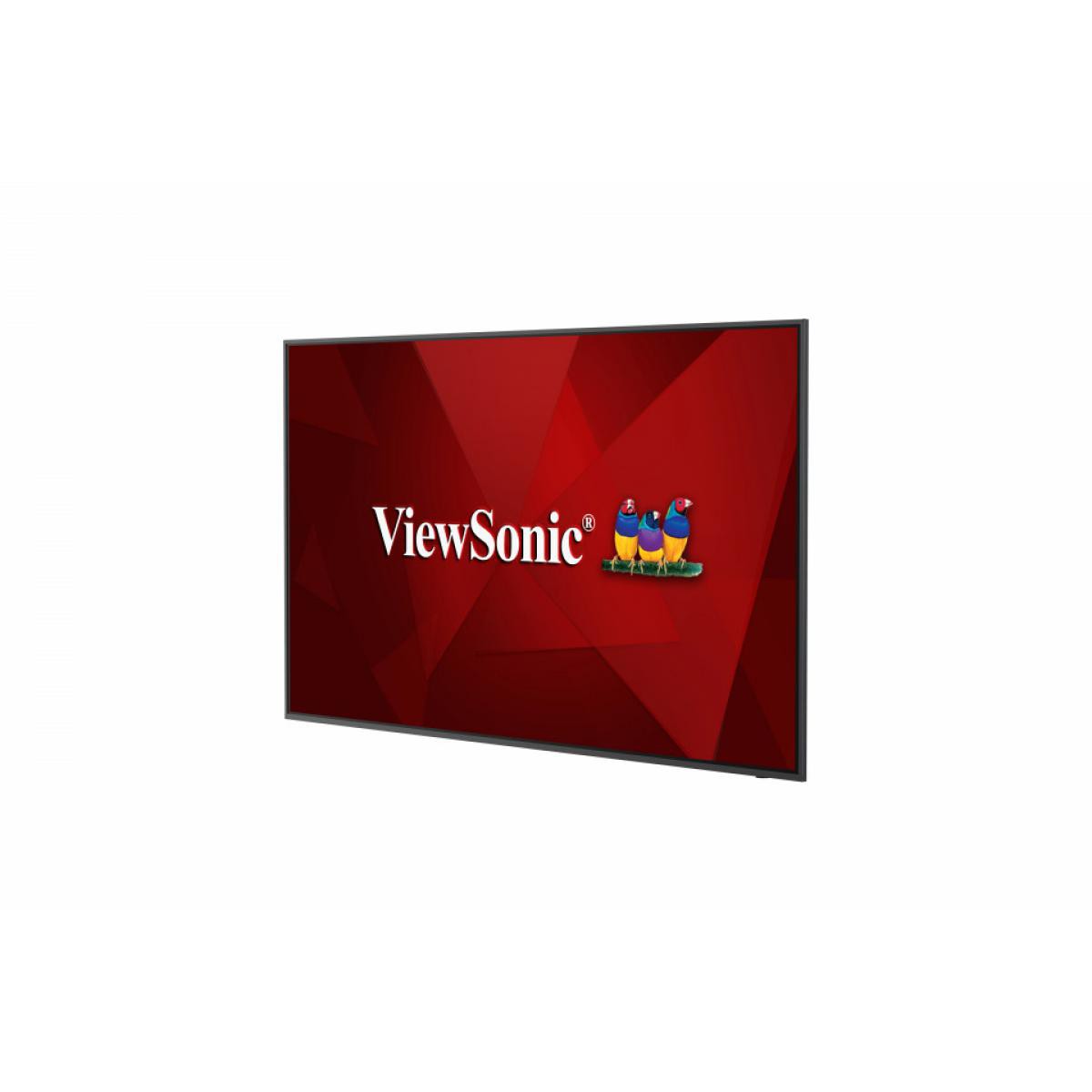 Viewsonic - Viewsonic ViewSonic CDE6520 - Moniteur PC