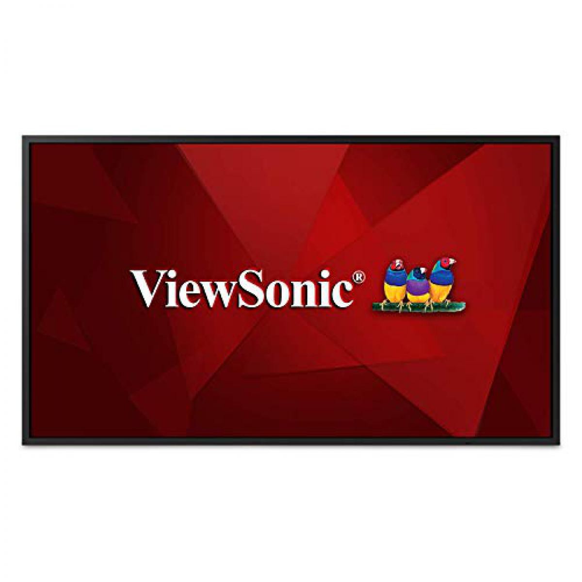 Viewsonic - Viewsonic CDE4320 43IN LED 3840X2160 - Moniteur PC