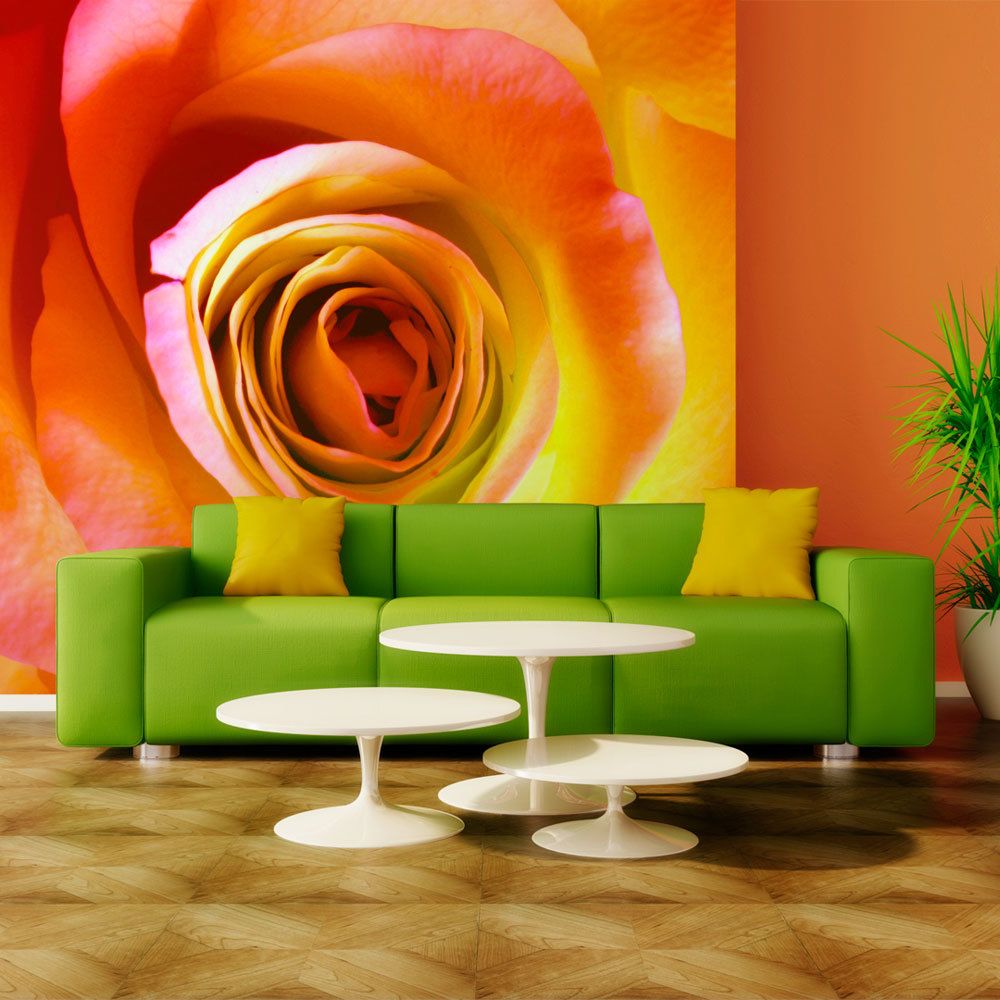 Bimago - Papier peint | Rose du désert | 300x231 | Fleurs | Roses | - Papier peint