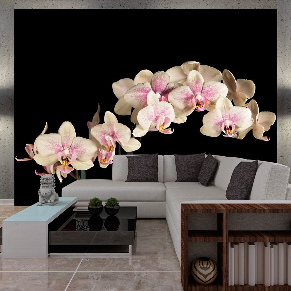 marque generique - 200x154 Papier peint Orchidées Fleurs Splendide Orchidée en fleurs - Papier peint