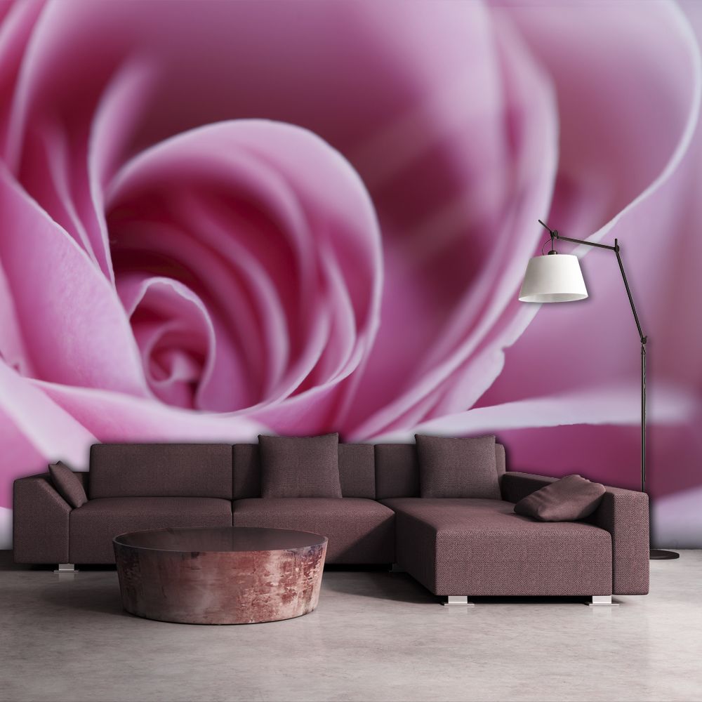 Bimago - Papier peint - Rose rose - Décoration, image, art | Fleurs | Roses | - Papier peint