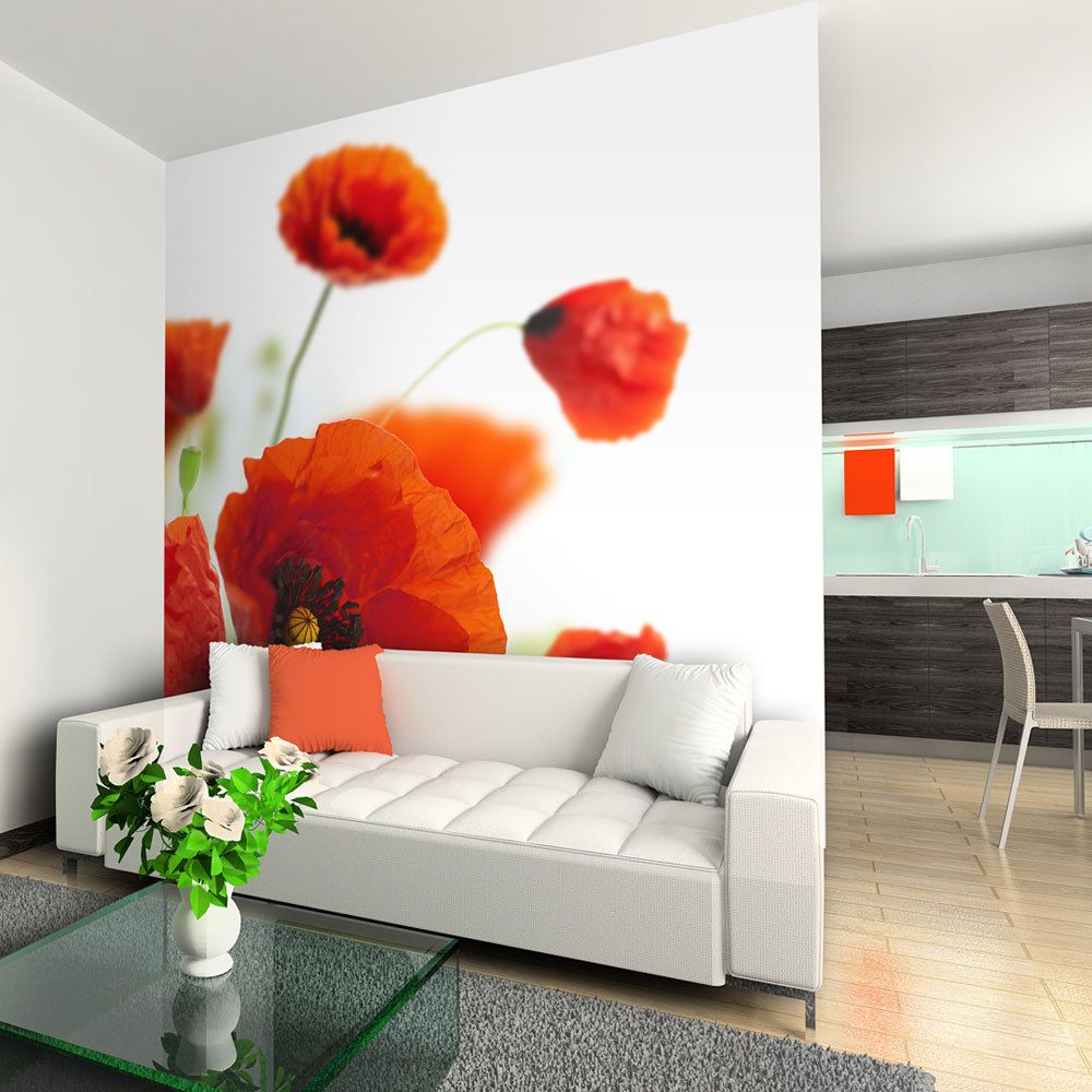 Bimago - Papier peint - Poppies on the wihite background - Décoration, image, art | Fleurs | Coquelicots | - Papier peint