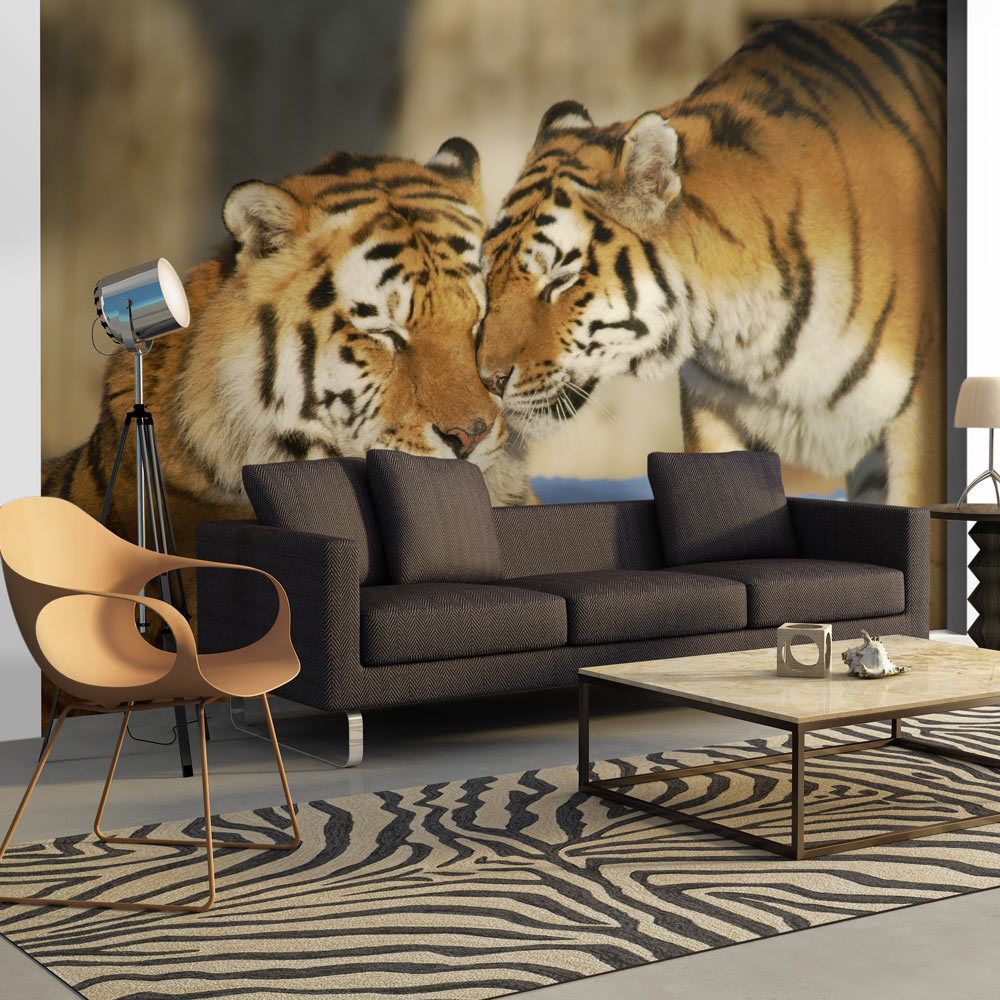 Bimago - Papier peint - Tigres : l'amour inconditionnel - Décoration, image, art | Animaux | - Papier peint