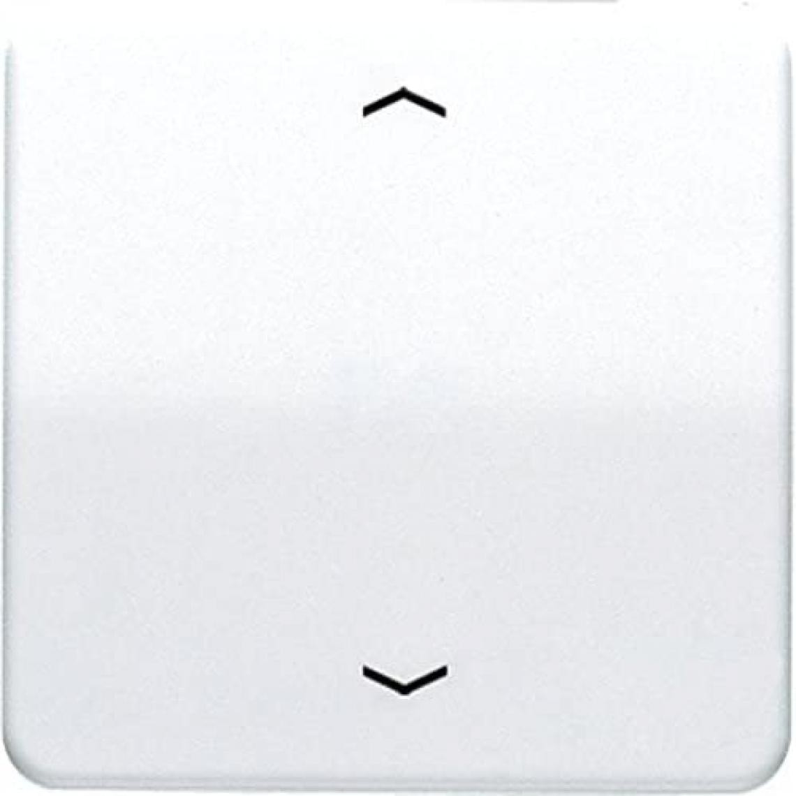 Inconnu - Bascule symbole flèche Jung CD590PWW 1 prise Cache blanc-alpin 1 pc(s) - Interrupteurs et prises étanches