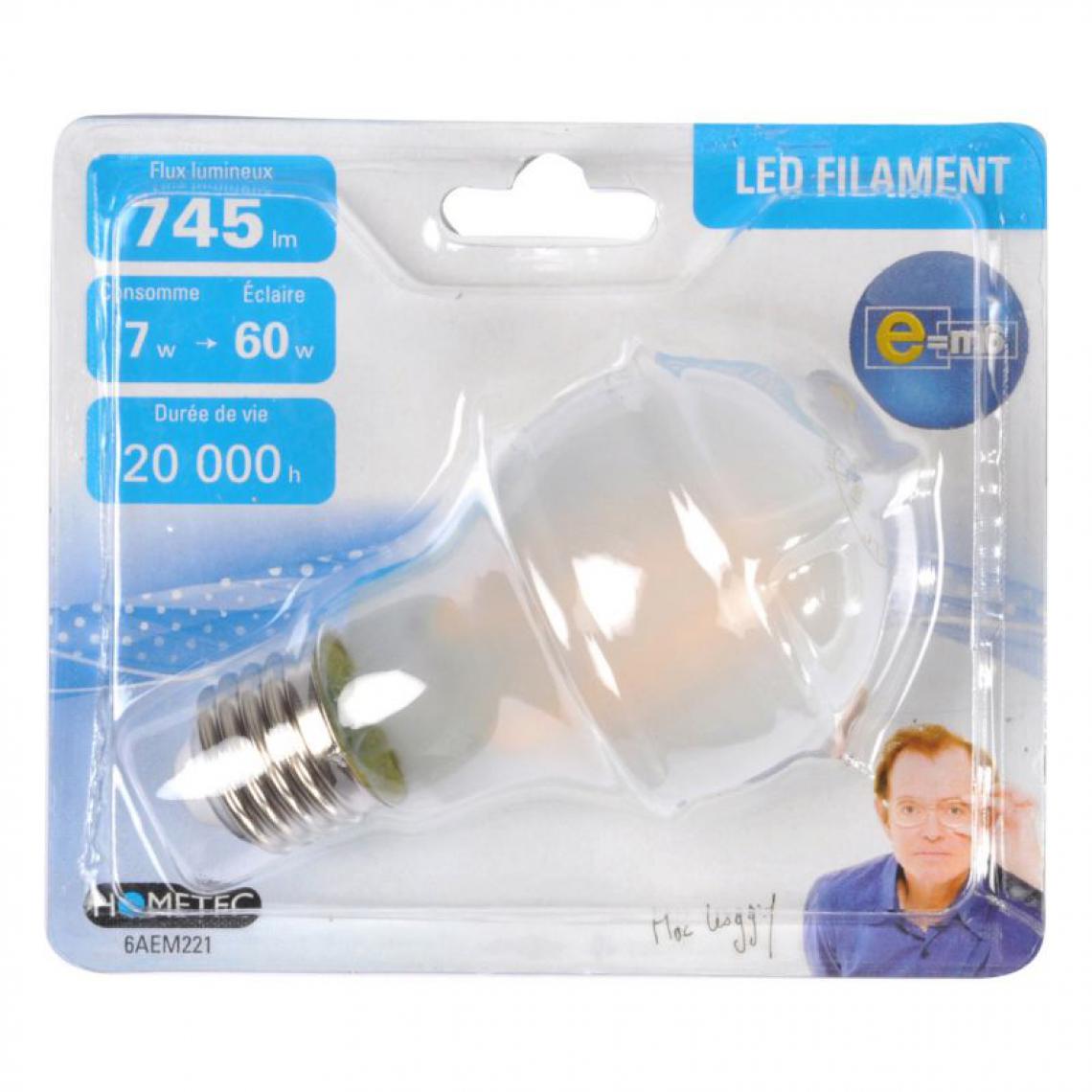 Paris Prix - Ampoule LED Filament E27 Standard 7W 11cm Depoli - Ampoules LED
