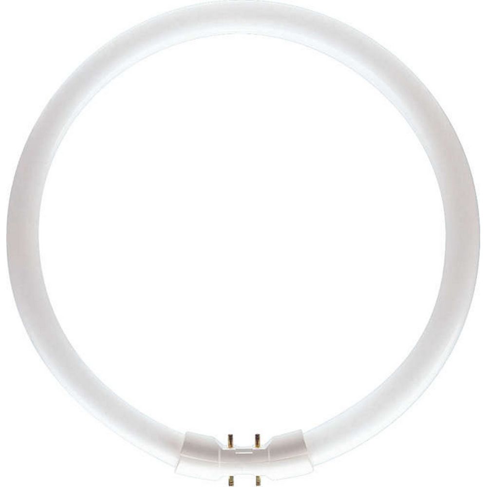 Philips - PHILIPS 64251625 - Ampoule Circular MASTER TL5 2GX13 55W/840 4200lm - Tubes et néons