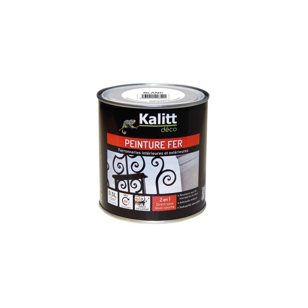 marque generique - Peinture spécial Fer - Blanc - Brillant - 0.5 L - KALITT - Peinture intérieure