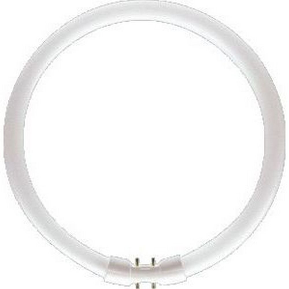 Philips - PHILIPS 64223325 - Ampoule Circular MASTER TL5 2GX13 40W/840 3300lm - Tubes et néons
