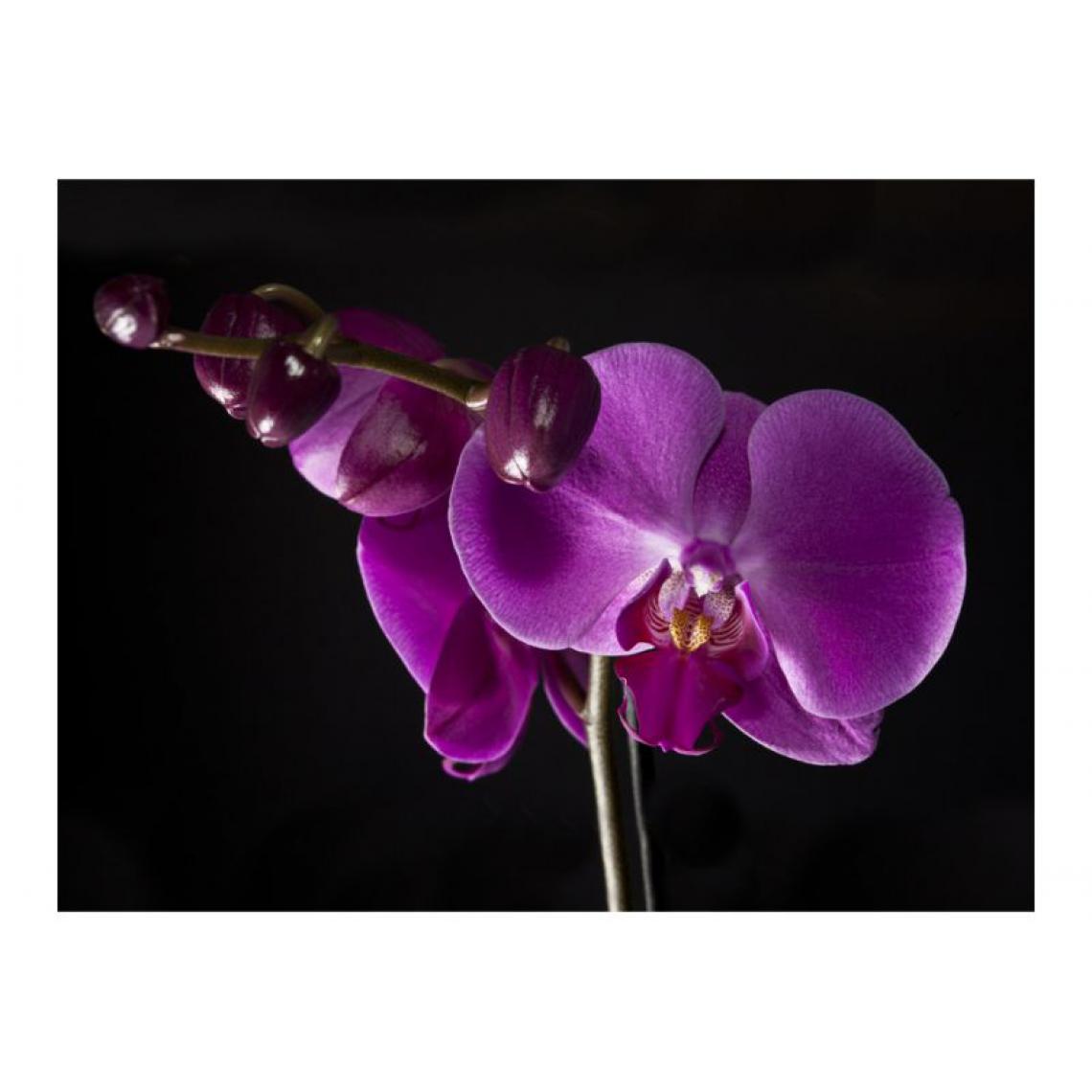 Artgeist - Papier peint - élégant orchidée .Taille : 250x193 - Papier peint