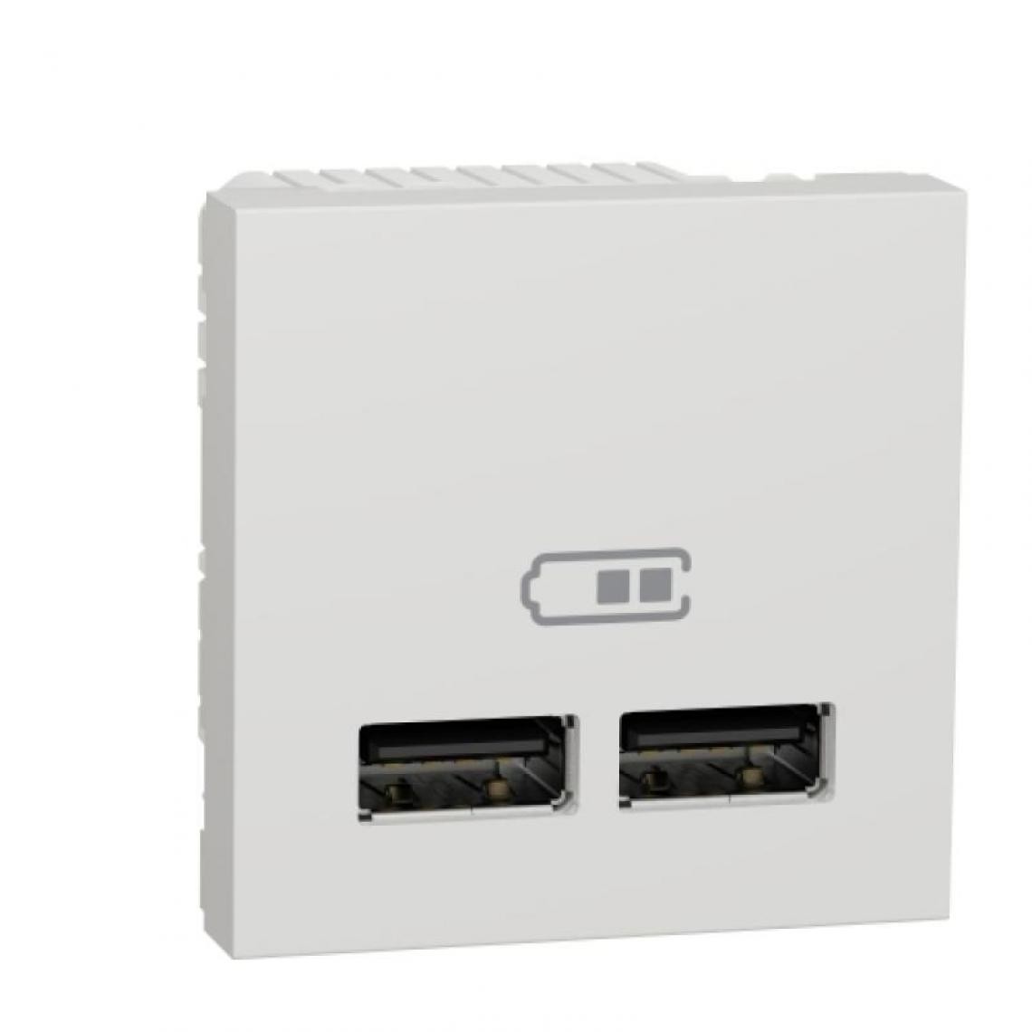 Schneider - Chargeur USB double 5 Vcc 1A + 2,1 A 2 modules blanc Unica - Interrupteurs et prises étanches