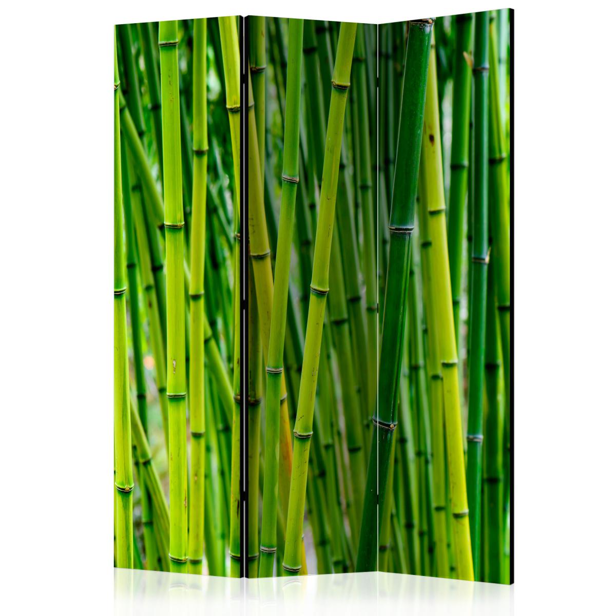 Bimago - Paravent 3 volets - Bamboo Forest [Room Dividers] - Décoration, image, art | 135x172 cm | - Cloisons