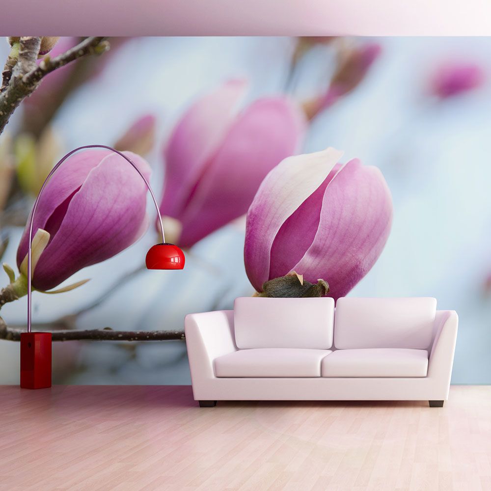 Bimago - Papier peint | printemps | magnolia | 350x270 | - Papier peint