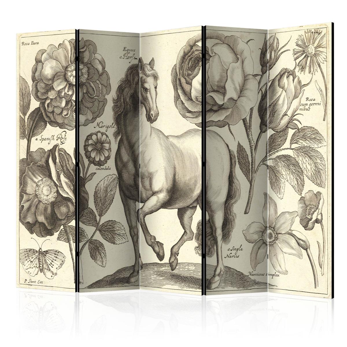 Bimago - Paravent 5 volets - Horse II [Room Dividers] - Décoration, image, art | 225x172 cm | XL - Grand Format | - Cloisons
