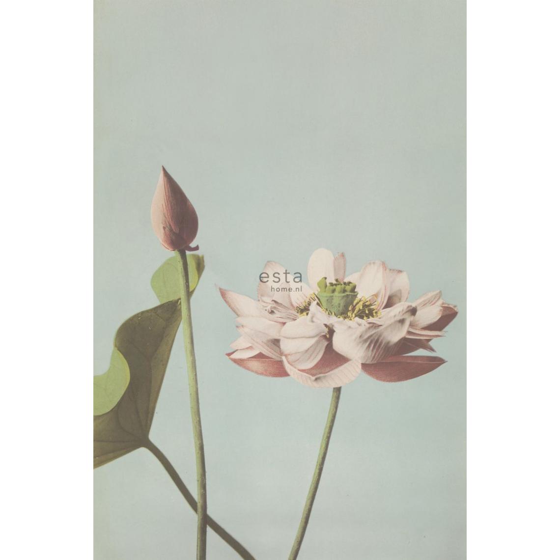 ESTAhome - ESTAhome papier peint panoramique fleur de lotus vieux rose - 158890 - 1.86 x 2.79 m - Papier peint