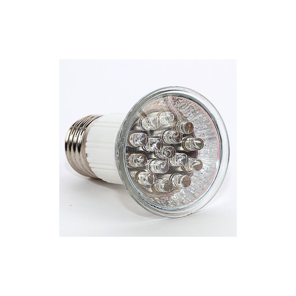 Maison Futee - Ampoule à led Grundig - 15 LED culot E27 - Ampoules LED