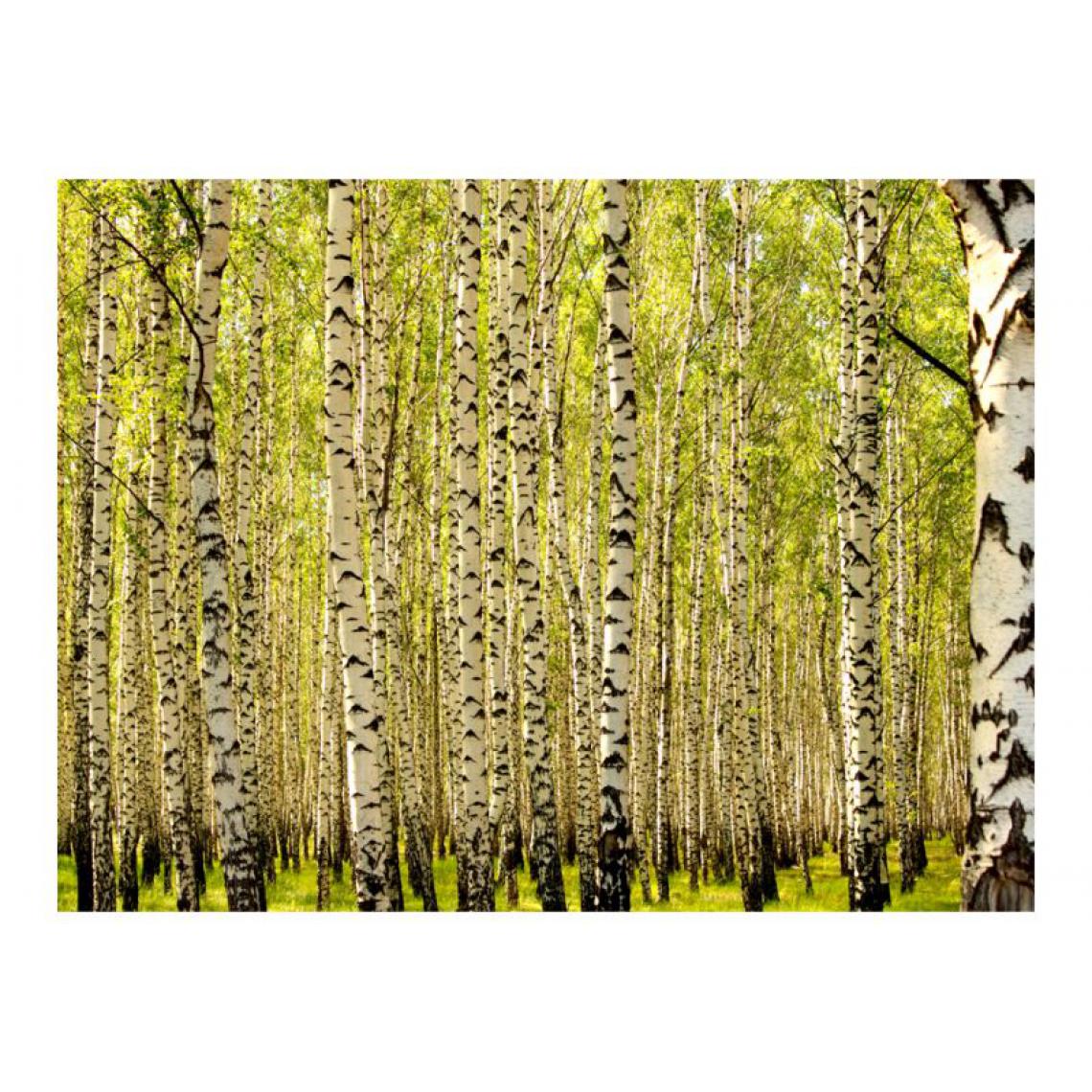 Artgeist - Papier peint - Forêt de bouleaux .Taille : 350x270 - Papier peint