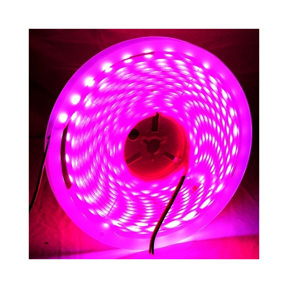 Wewoo - Ruban LED Waterproof Epoxyde Magenta Lumière de corde imperméable époxyde de la 5050 SMD de 14W, 60 / M, longueur: 5m - Ruban LED