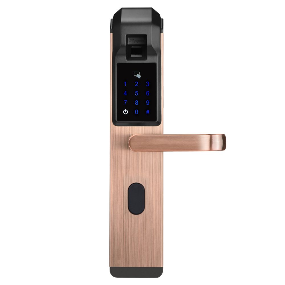 marque generique - porte électronique serrure biométrique empreinte digitale serrure serrure mot de passe rouge bronze électronique - Bloque-porte