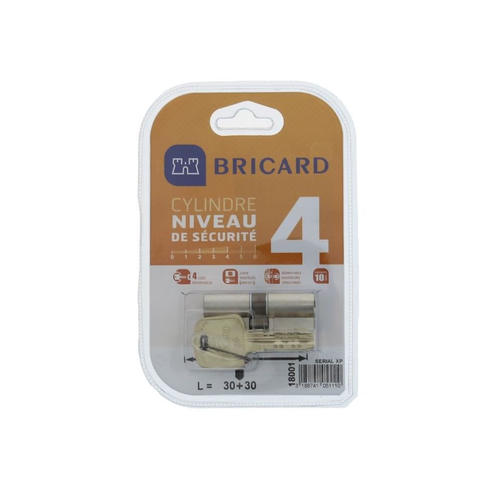 Bricard - BRICARD SERIAL XP 18001 Cylindre 30+30 mm double entrée nickelé niveau de sécurité 4 - Cylindre de porte