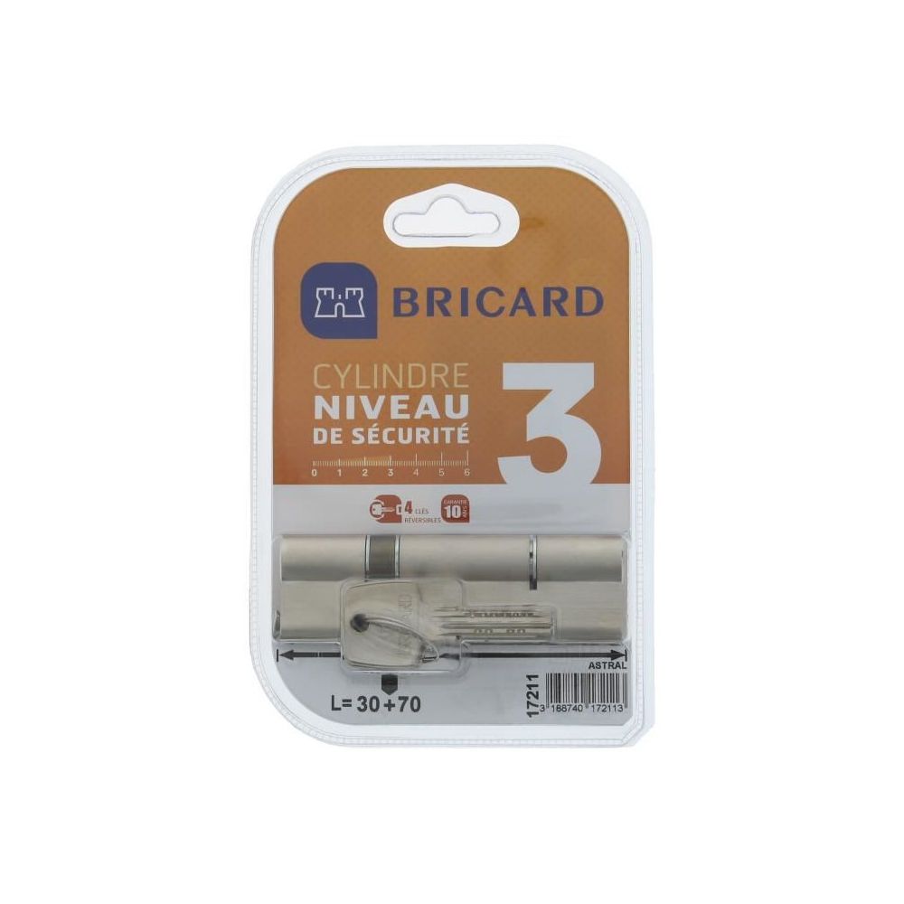 Bricard - BRICARD TRIALS 17211 Cylindre 30+70 mm double entrée laiton nickelé - Cylindre de porte