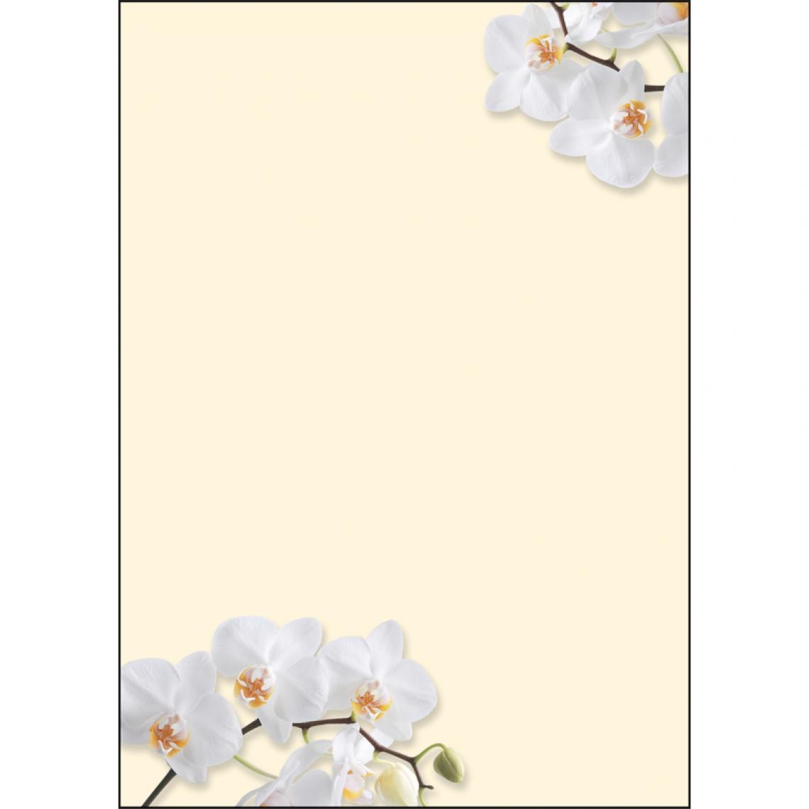 Sigel - sigel Papier à motif, A4, 90 g/m2, motif 'White Orchid' () - Outils et accessoires du peintre