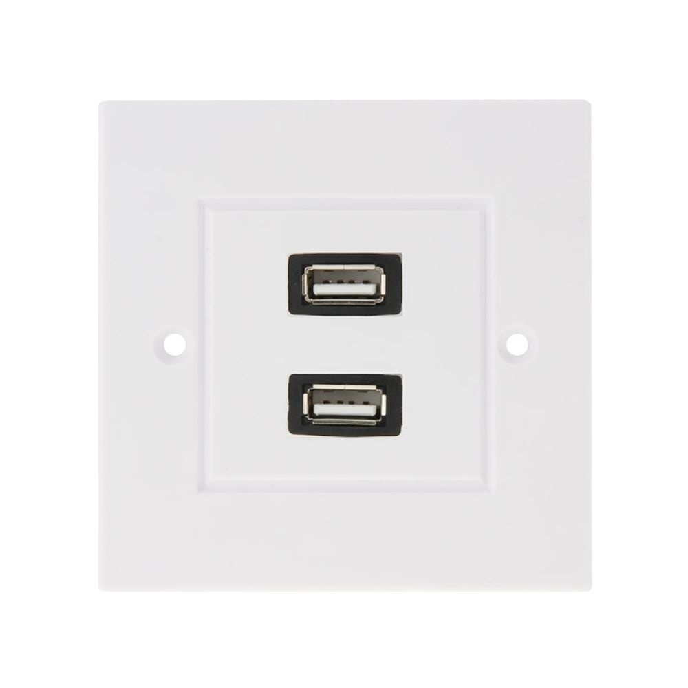Wewoo - Le double panneau de plaque de mur de de chargeur de de maison de prises d'USB 2.0 femelle - Interrupteurs et prises en saillie