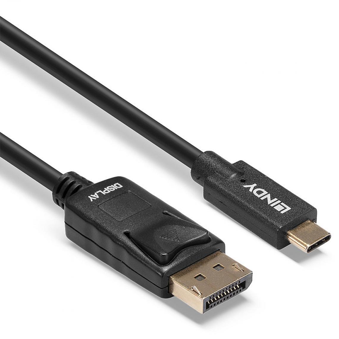 Lindy - Cordon USB-C / DisplayPort 4K (5m) - Adaptateurs