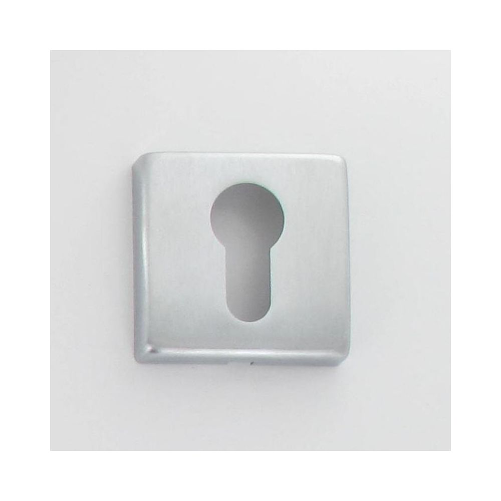 Secury-T - Rosaces EPUR1 satinée duo 50X50 mm à trou de clé L - Poignée de porte