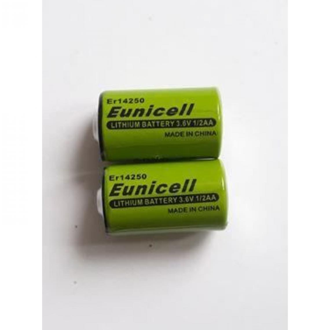 Eunicell - 2 piles ER14250 EUNICELL - Piles standard