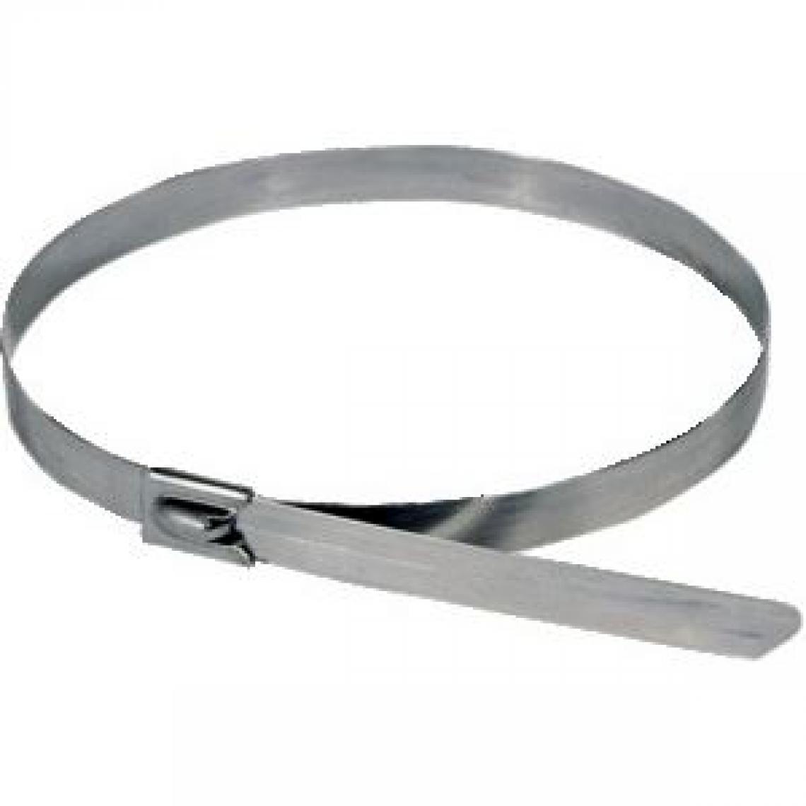 Bizline - collier de cablage - en inox - 350 x 4.6 mm x 100 - bizline 300121 - Accessoires de câblage