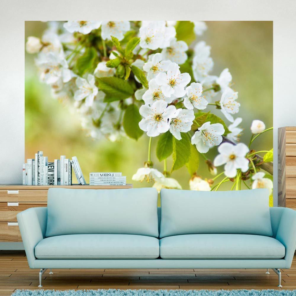 Bimago - Papier peint - Fleurs de cerisier délicates - Décoration, image, art | Fleurs | Fleurs cerisiers | - Papier peint