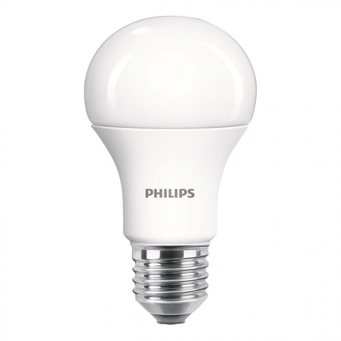 Philips - lot de 2 ampoules LED E27 PHILIPS EQ100 standard blanc froid - Ampoules LED