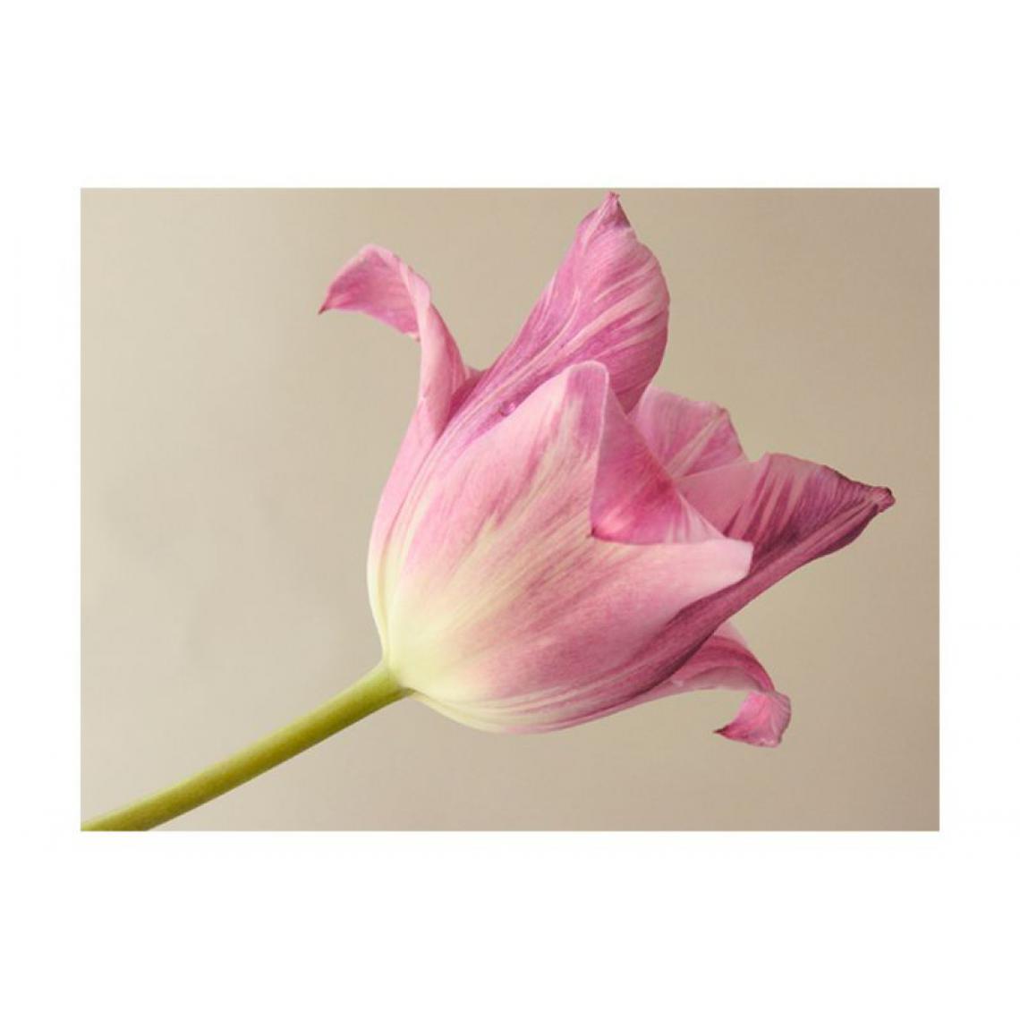 Artgeist - Papier peint - Pink tulip .Taille : 350x270 - Papier peint