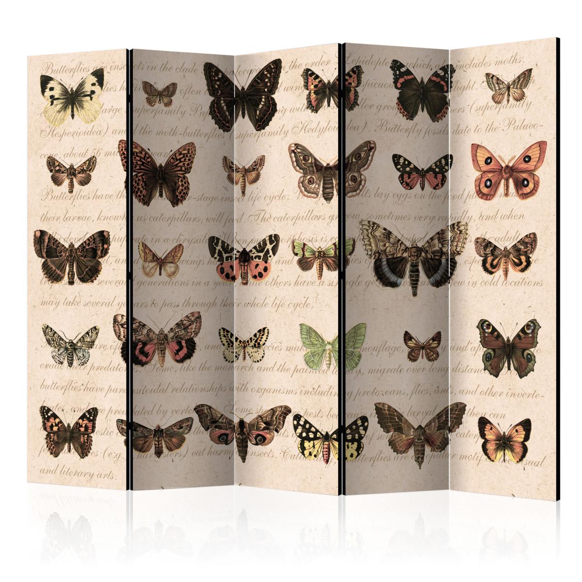 Bimago - Paravent 5 volets - Retro Style: Butterflies II [Room Dividers] - Décoration, image, art | 225x172 cm | XL - Grand Format | - Cloisons