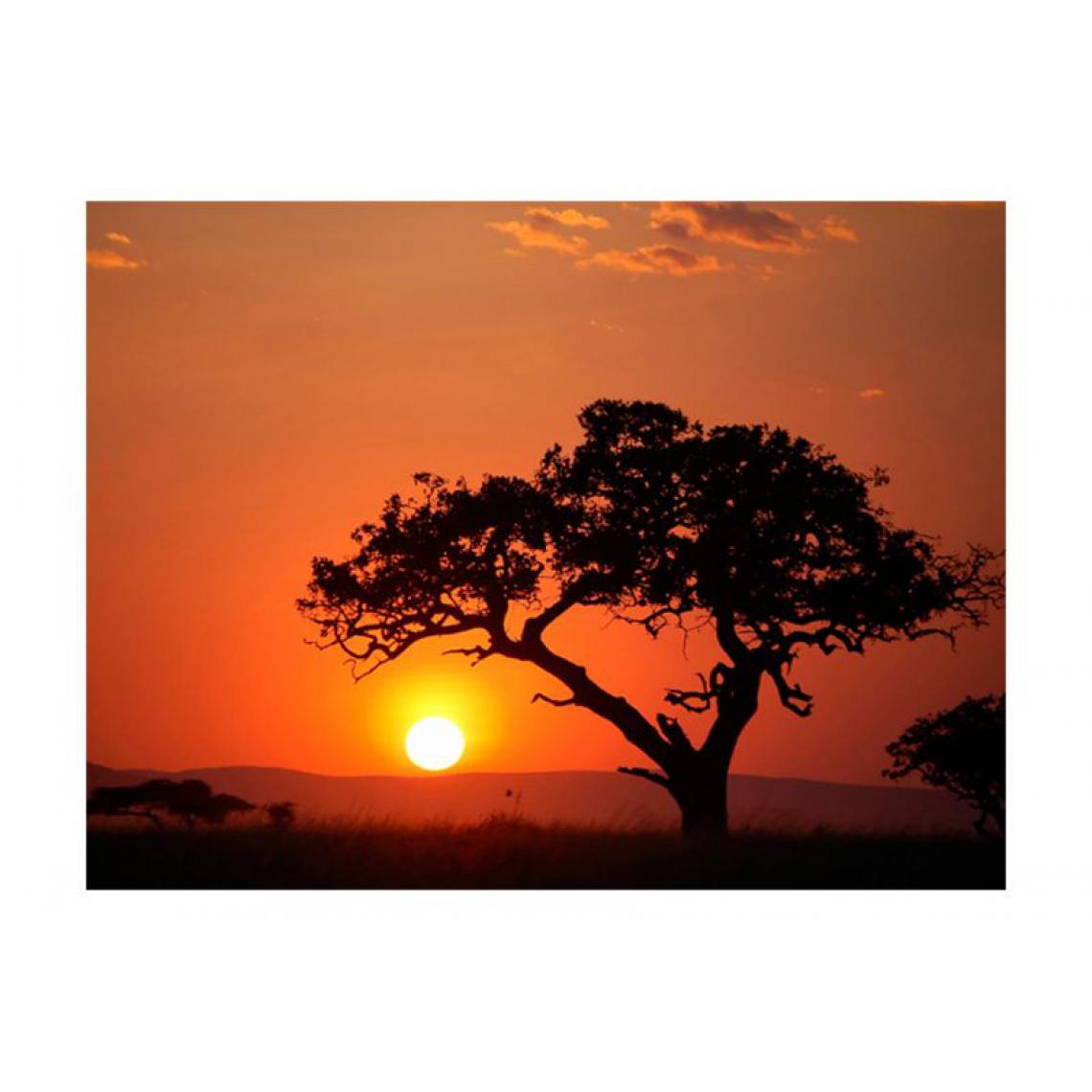 Artgeist - Papier peint - Afrique: coucher de soleil .Taille : 200x154 - Papier peint