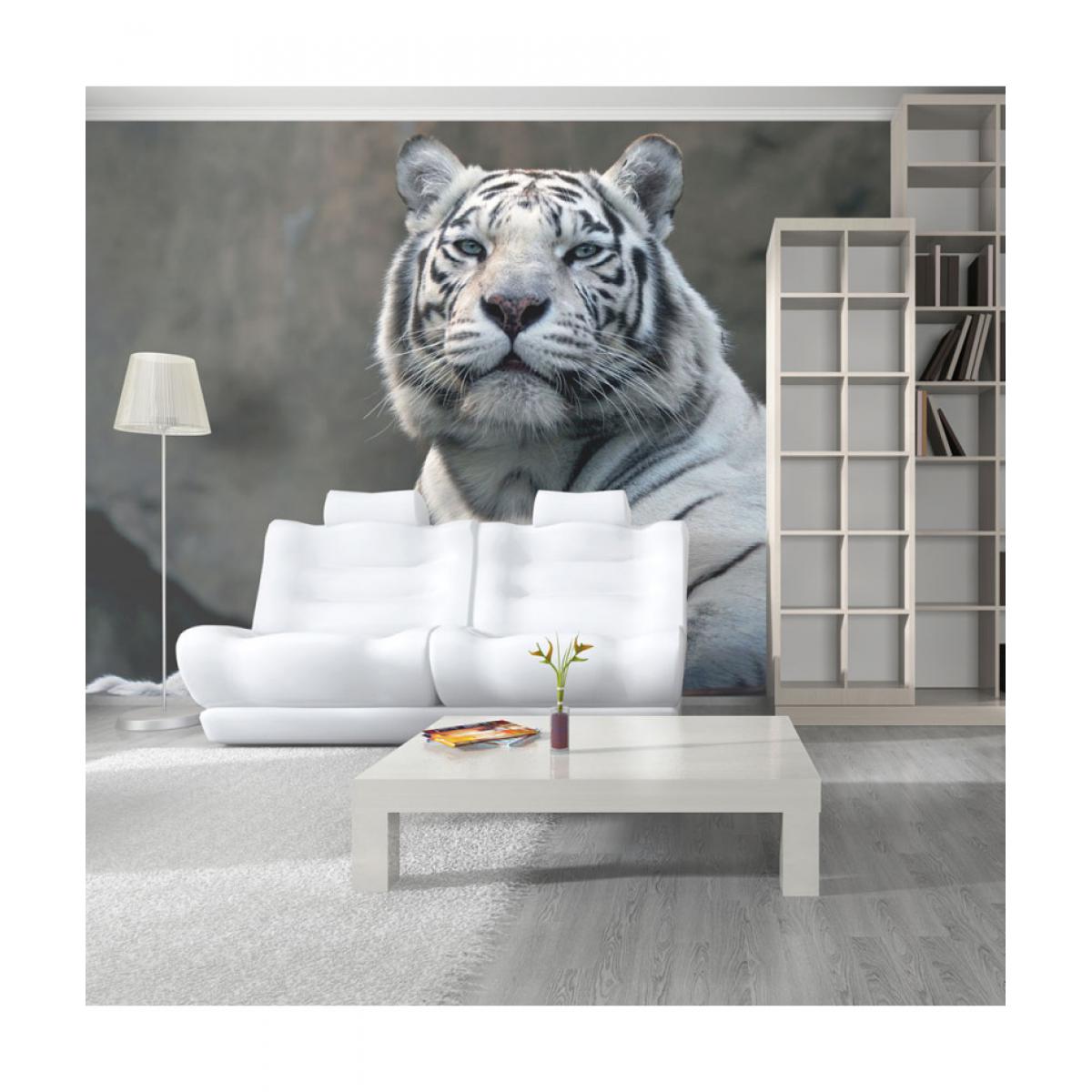 Artgeist - Papier peint - Tigre du Bengale au zoo 350x270 - Papier peint