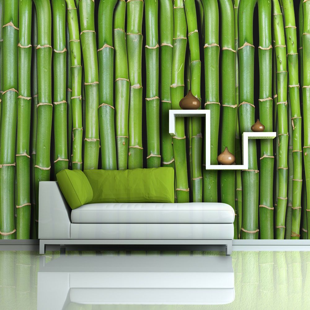 Bimago - Papier peint - Mur vert bambou - Décoration, image, art | 450x270 cm | XXl - Grand Format | - Papier peint