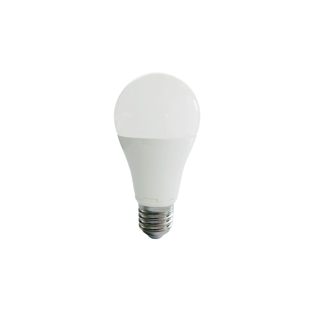 Nityam - Ampoule LED Globe E27 - 12W - Ampoules LED