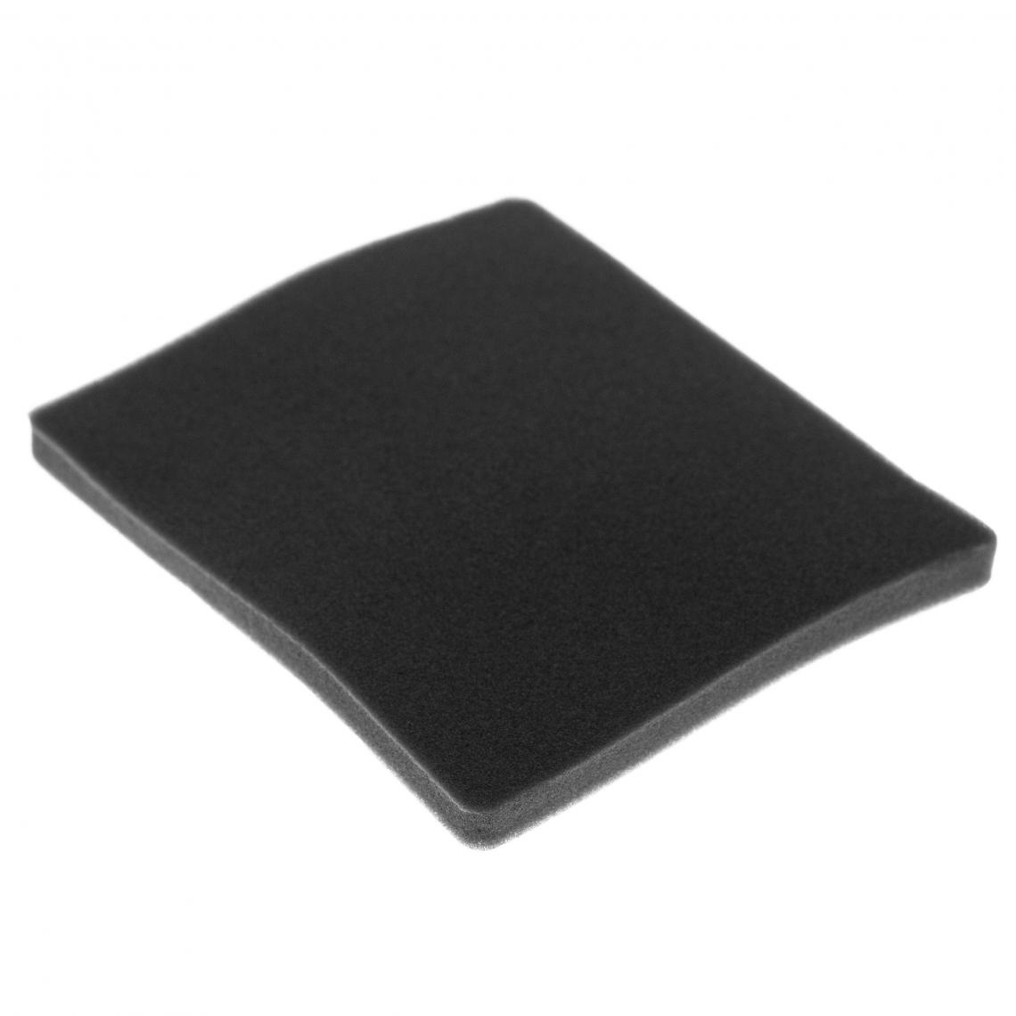 Vhbw - vhbw Filtre compatible avec Electrolux ZAM6103EC (910288752) aspirateur - filtre de sortie d'air (filtre éponge), noir - Accessoire entretien des sols