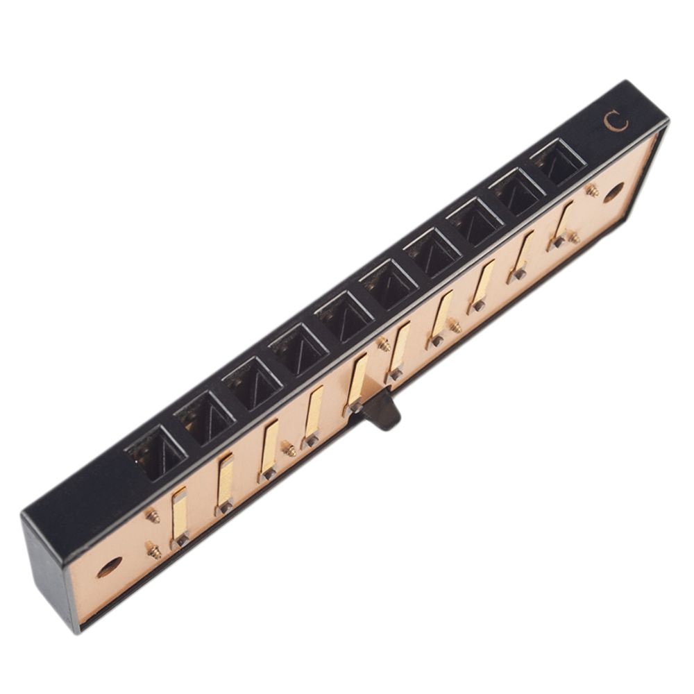 marque generique - Pièces Harmonica 10 trous - Accessoires instruments à vent