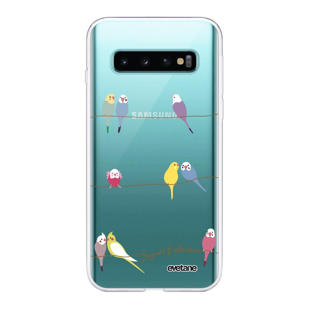 Evetane - Coque Samsung Galaxy S10 Plus souple transparente Perruches Motif Ecriture Tendance Evetane. - Coque, étui smartphone