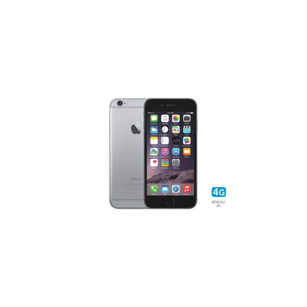 Apple - iPhone 6 Plus 16 Go - iPhone