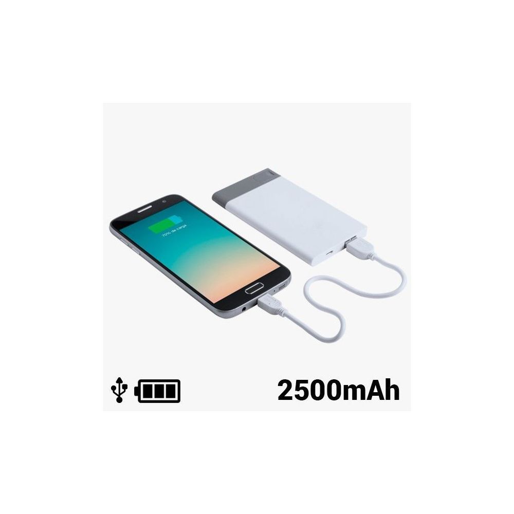 marque generique - Power Bank avec USB Amovible 2500 mAh 8 GB 145242 - Chargeur secteur téléphone