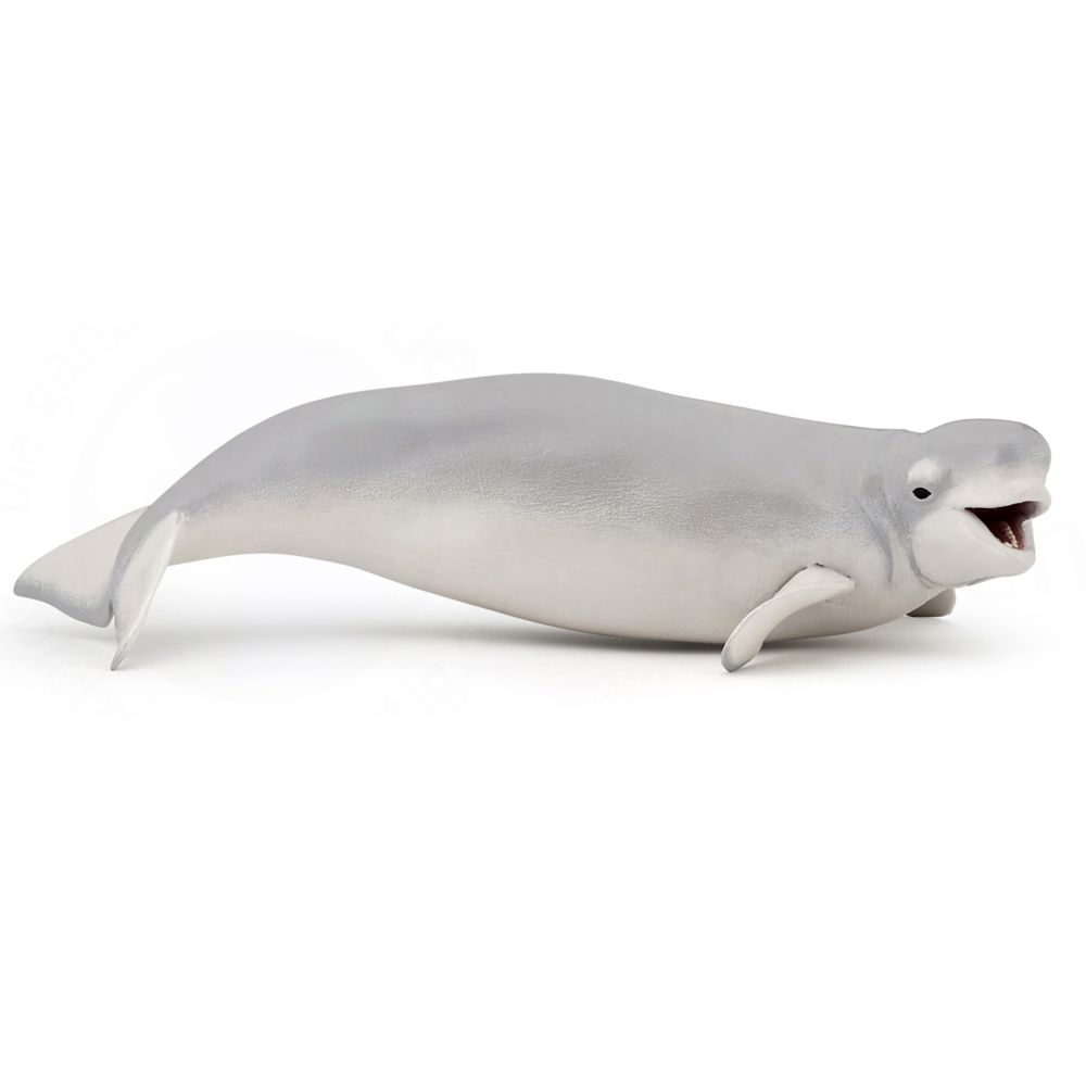 Papo - Figurine Beluga - Animaux