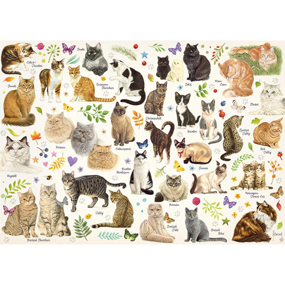 Jumbo - Puzzle 1000 pièces : Poster chat - Animaux