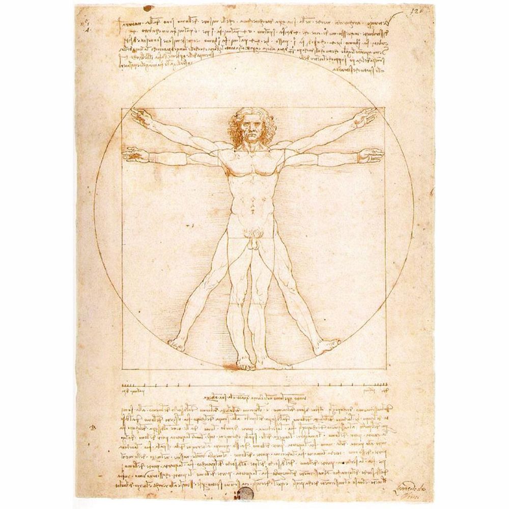 Ravensburger - Puzzle 1000 pièces - Léonard de Vinci : L'Homme de Vitruve - Animaux