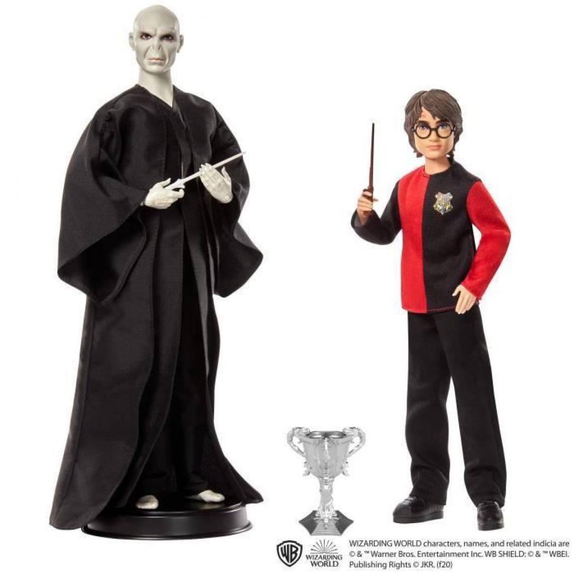 Mattel - HARRY POTTER Poupées Voldemort et Harry Potter - Poupées