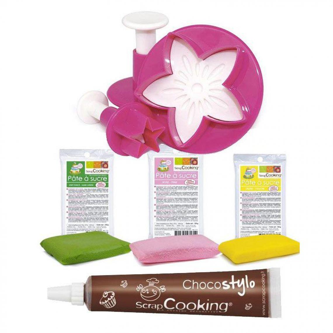 Scrapcooking - Coffret découpoirs étoile feuille fleur + pâte à sucre 300 g + 1 Stylo chocolat offert - Kits créatifs