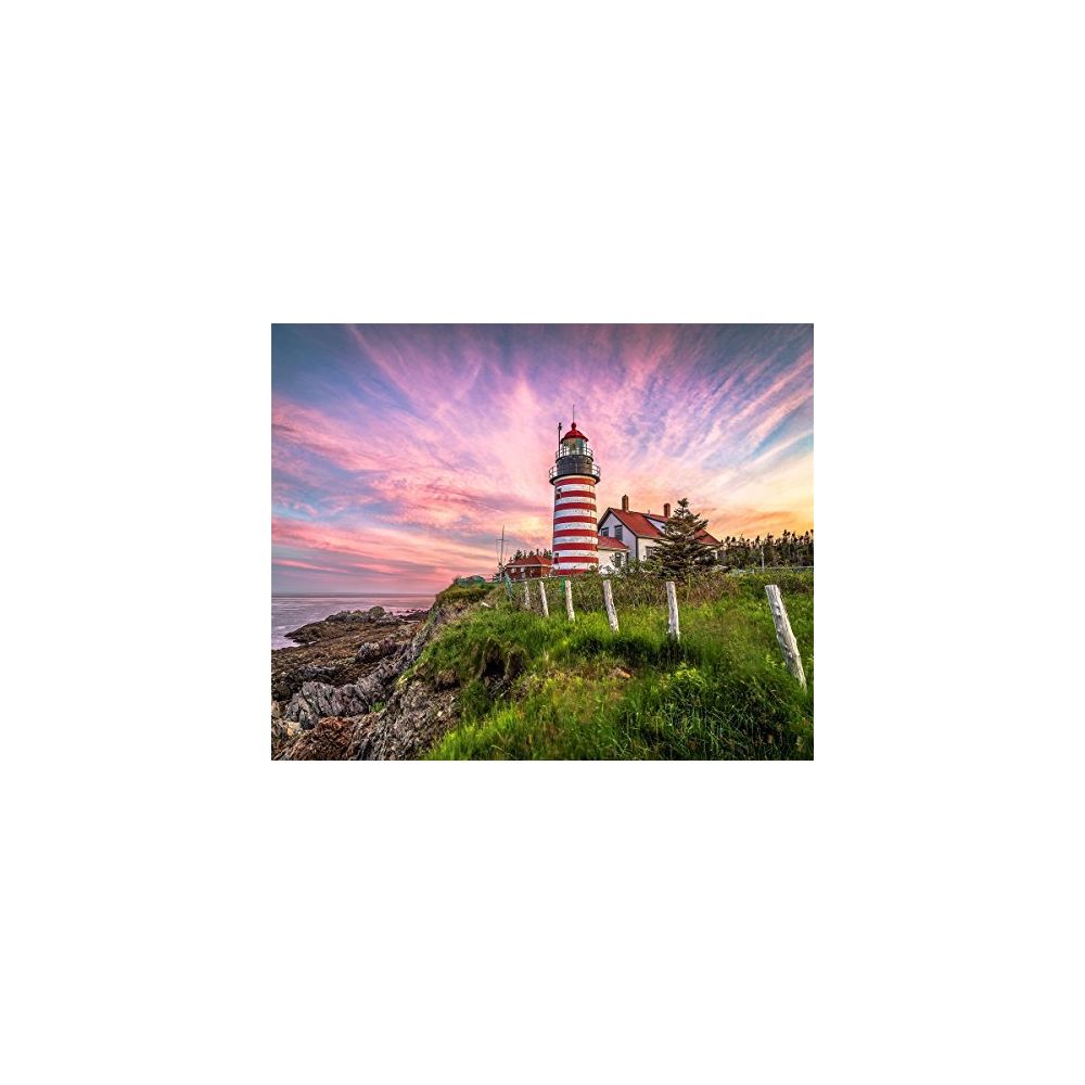 Springbok - Springbok Puzzles - West Quoddy Head Lighthouse - 1000 Piece Jigsaw Puzzle - Large 30 Inches by 24 Inches Puzzle - Made in USA - Unique Cut Interlocking Pieces - Accessoires Puzzles